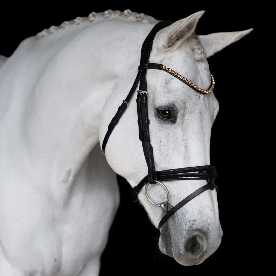 Browbands & Bridles