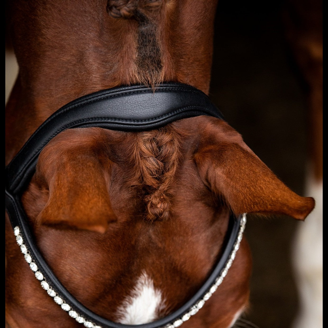 Black Anatomic Neck Strap
