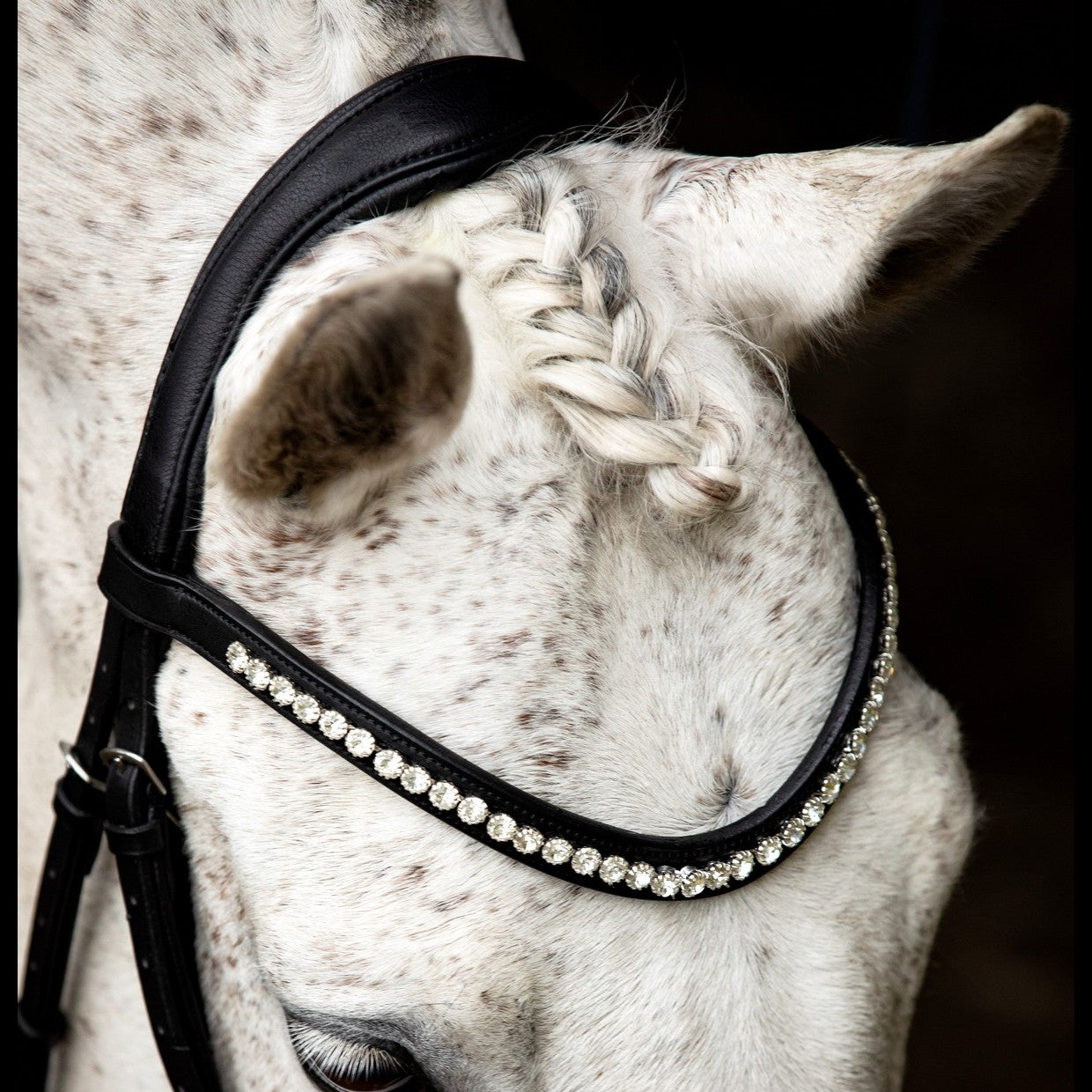 Black Anatomic Neck Strap