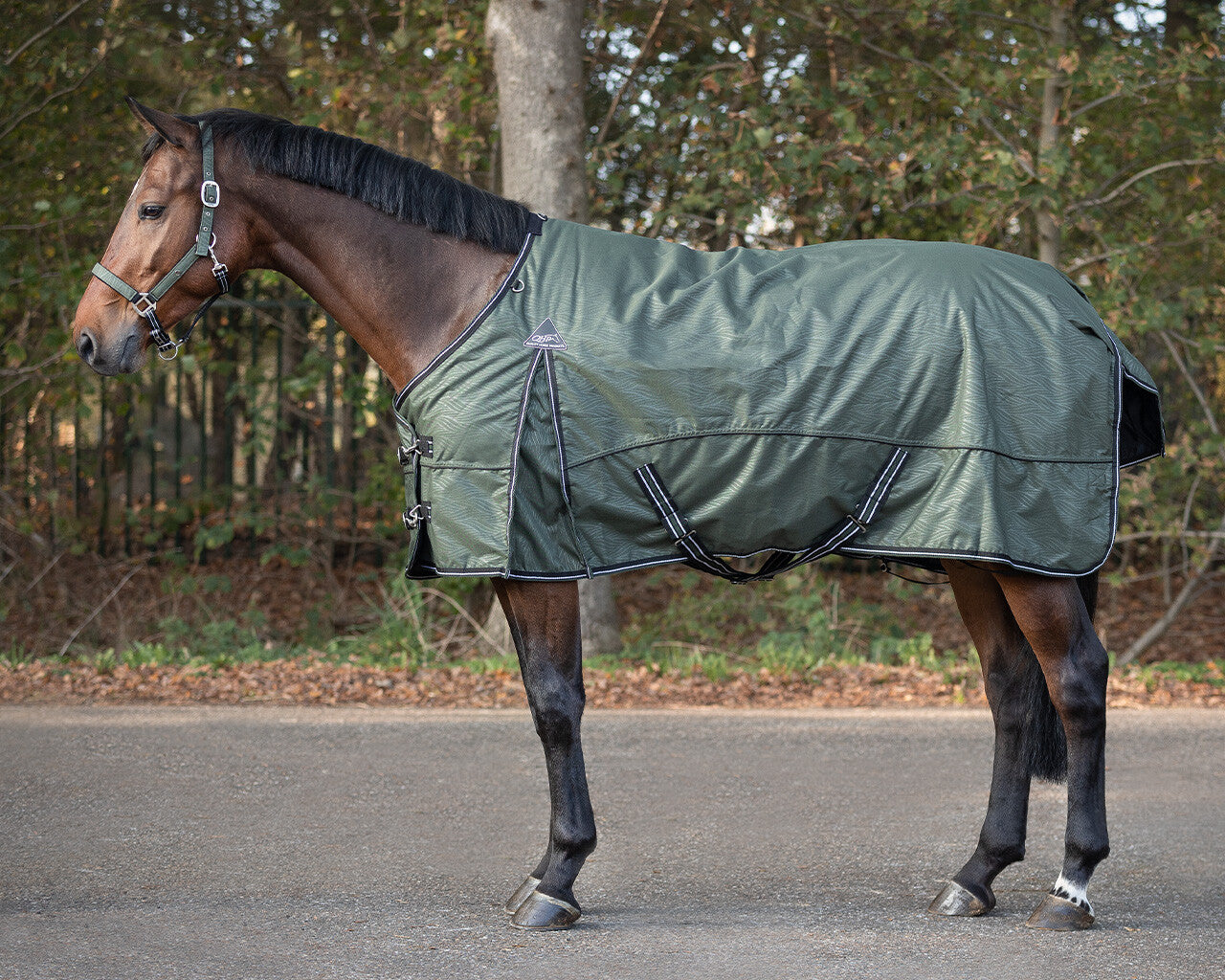 QHP Fleece Lined Turnout Rug 155cm/61in