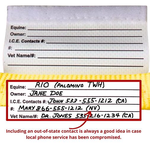 I.C.E. In Case of Emergency Clip-on