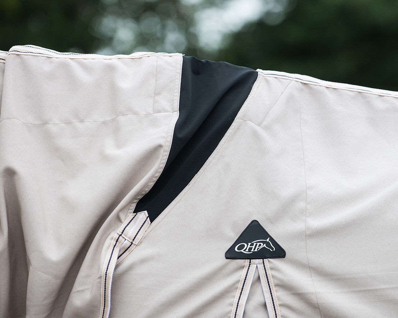 Eczema Hoodie by QHP