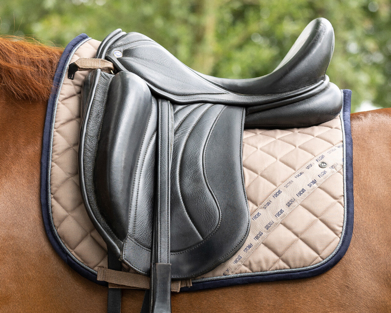 QHP Full Saddle Pad Summer Focus Taupe