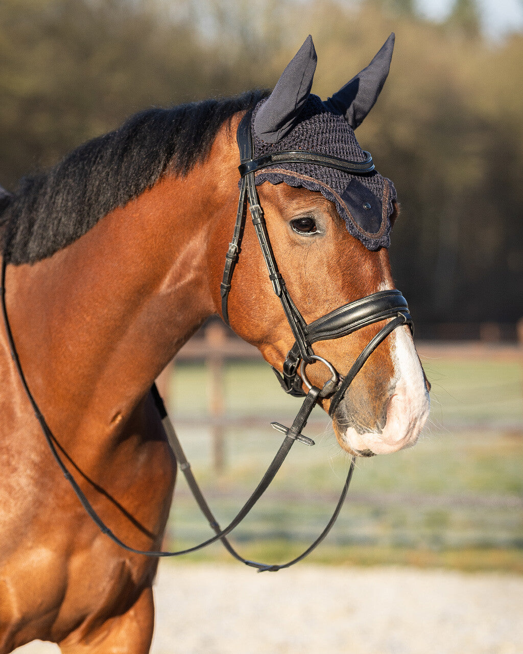 Ear Net Hailyn by QHP