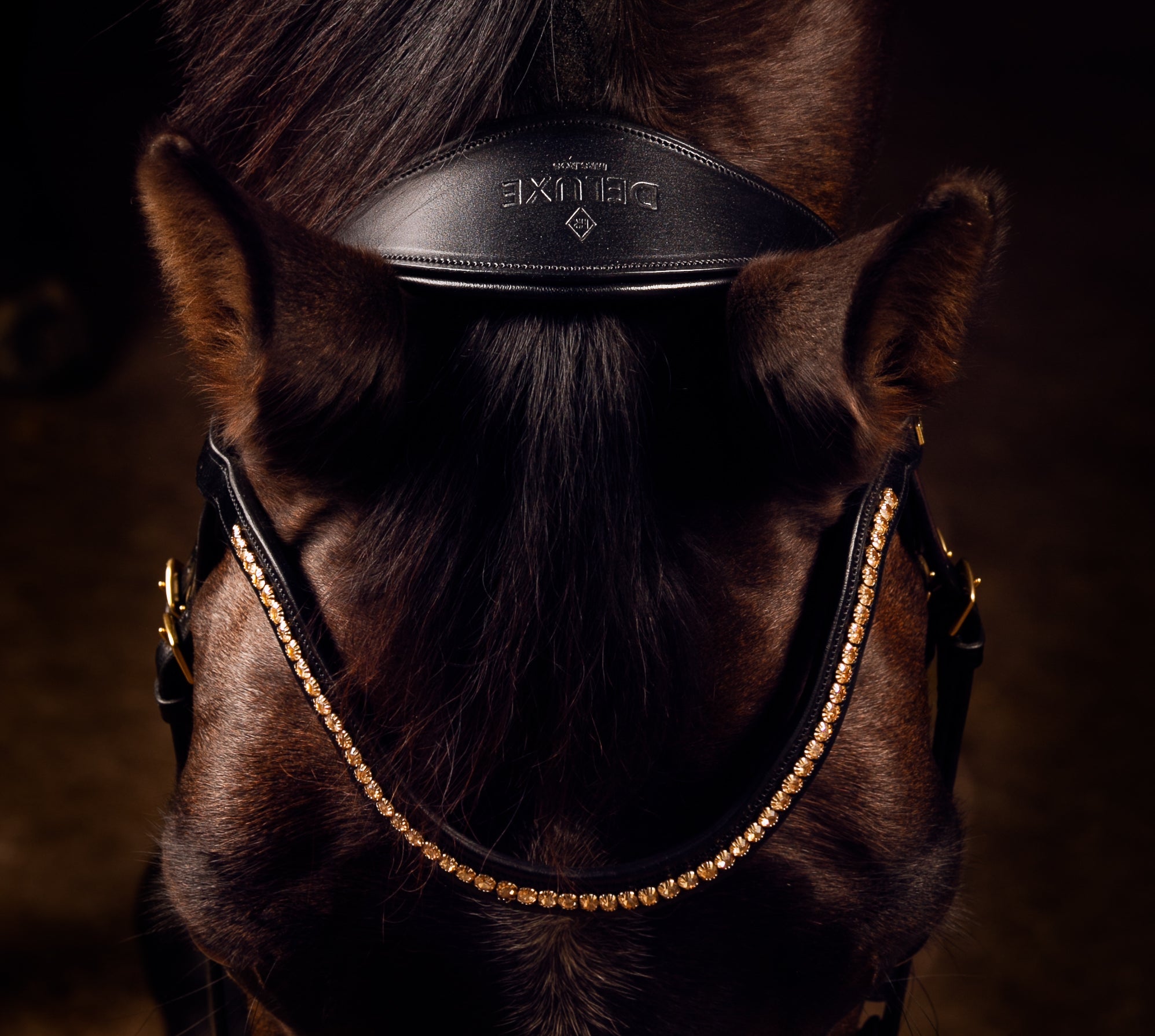 Deluxe Knight Power Double Bridle by MrsRos