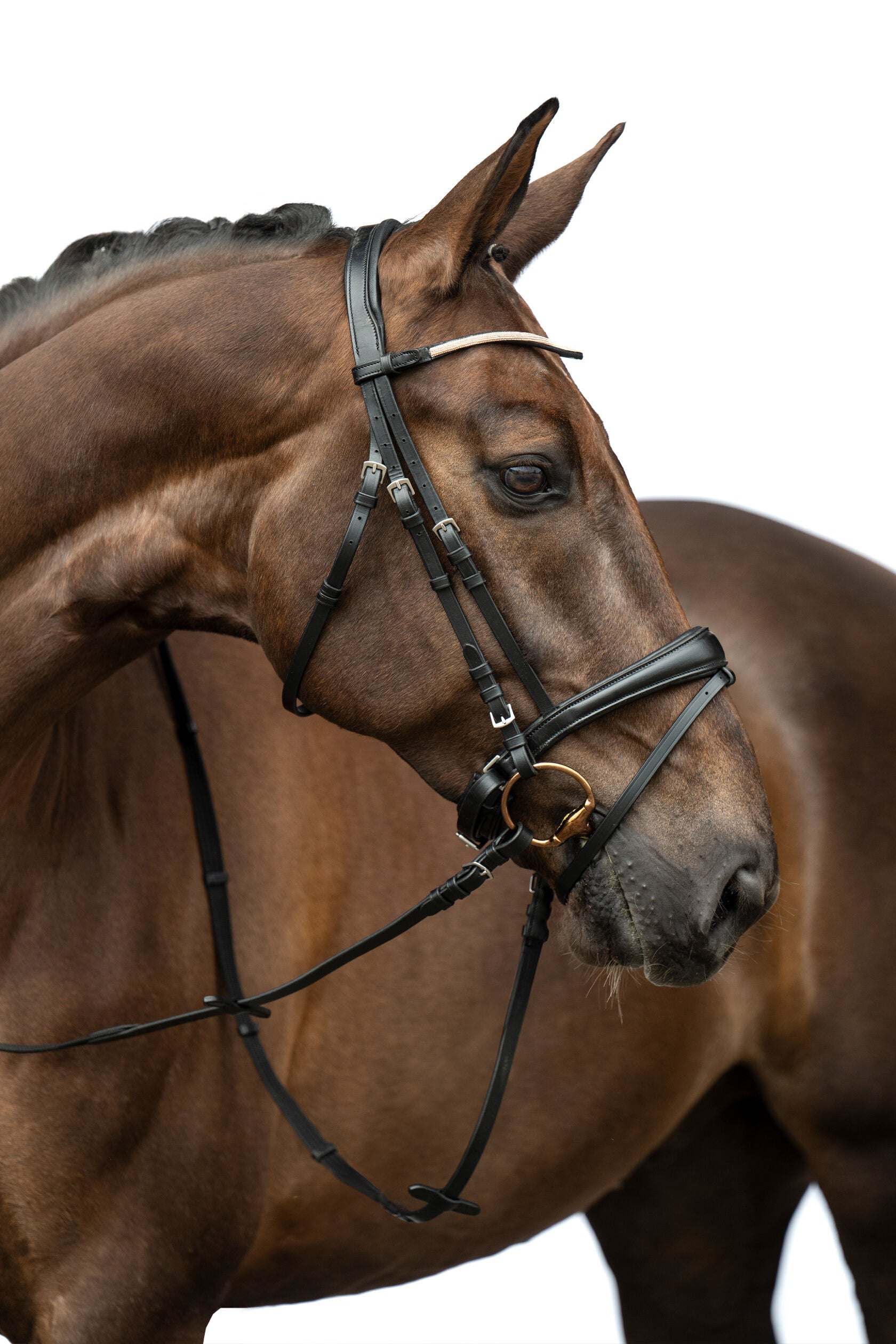 HKM Kopenhagen Bridle in Cob and Pony Size.