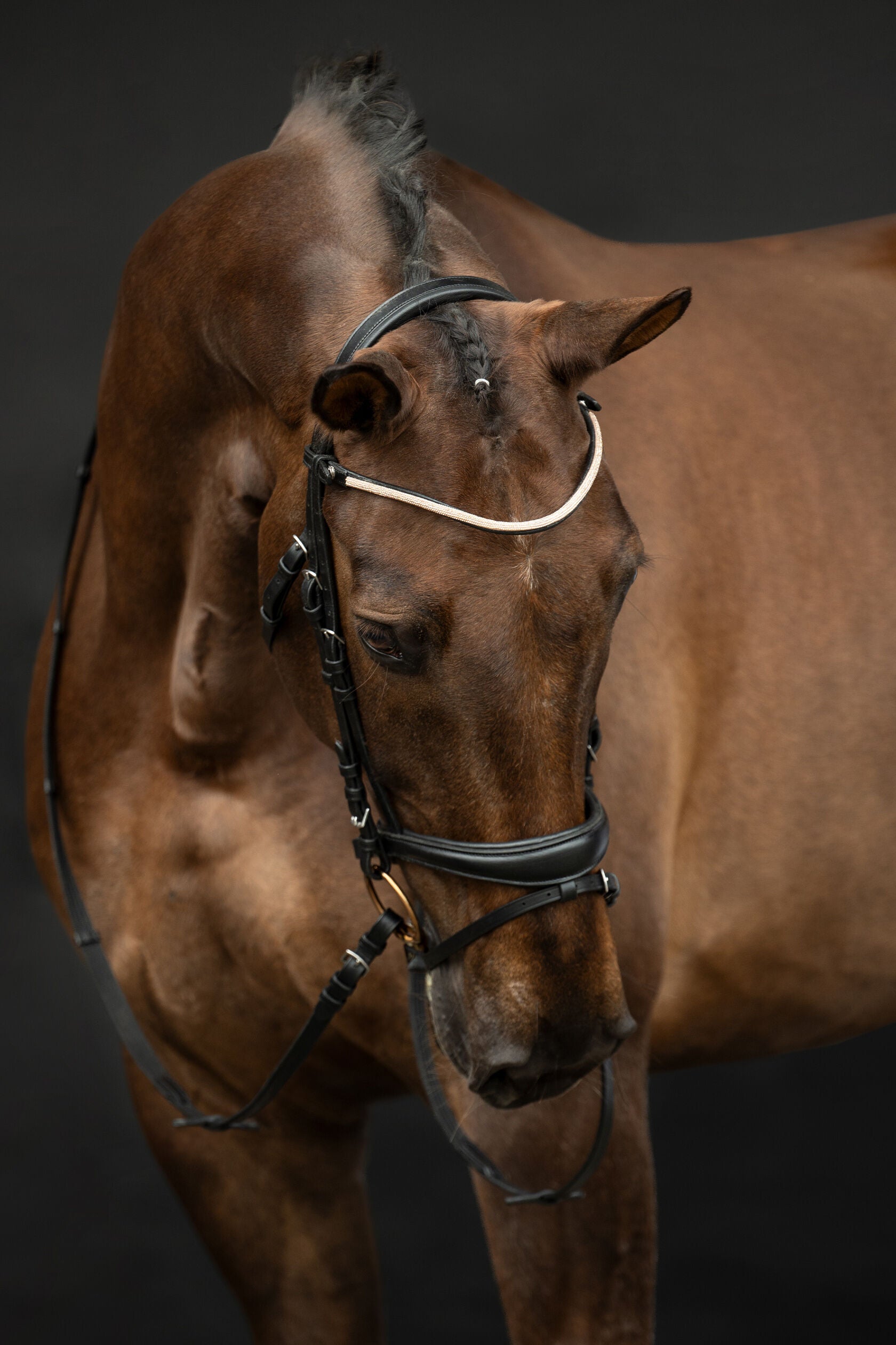 HKM Kopenhagen Bridle in Cob and Pony Size.