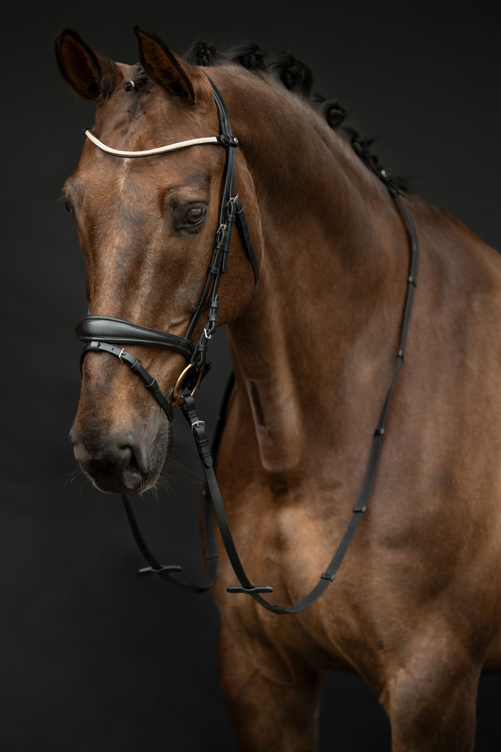 HKM Kopenhagen Bridle in Cob and Pony Size.