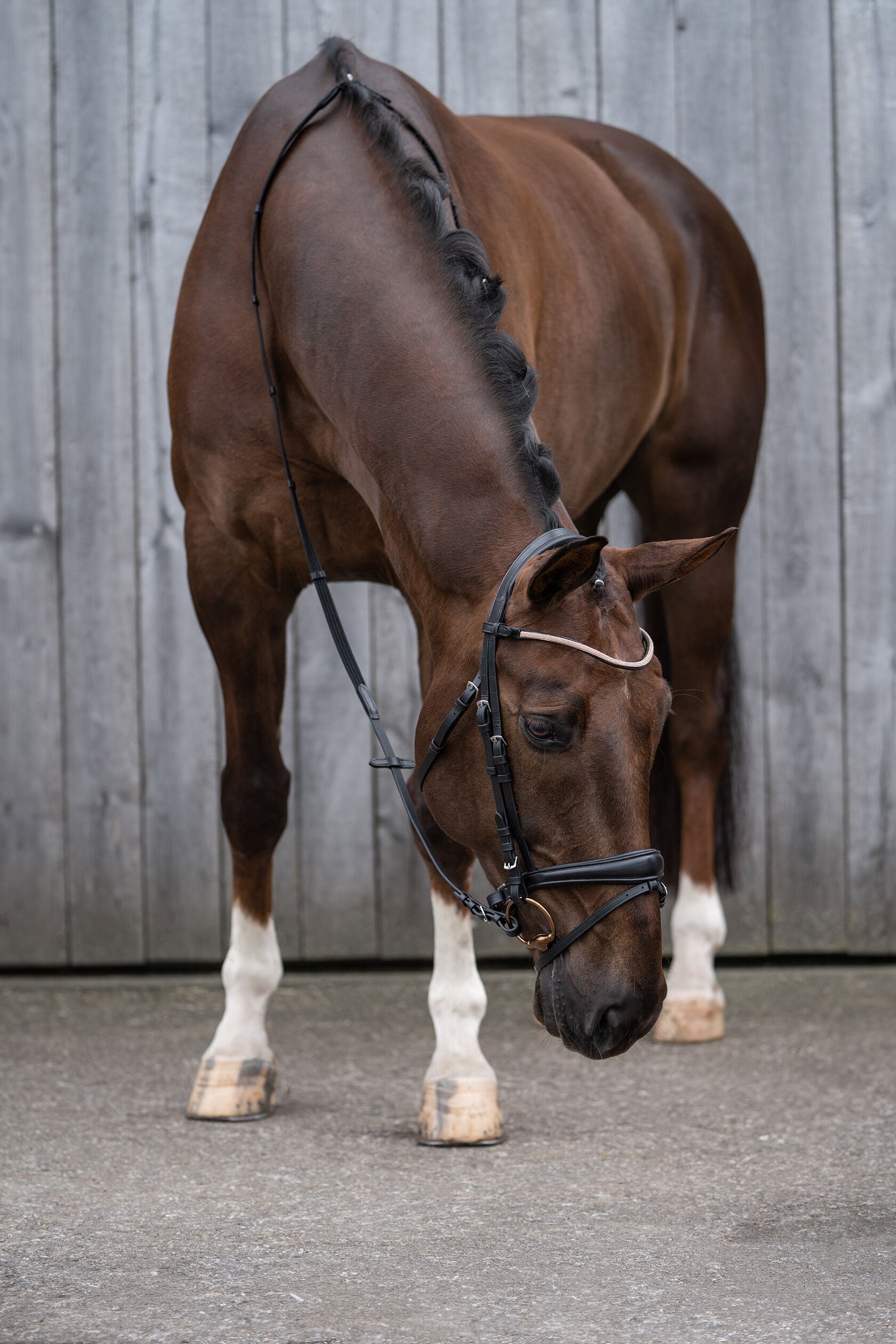 HKM Kopenhagen Bridle in Cob and Pony Size.