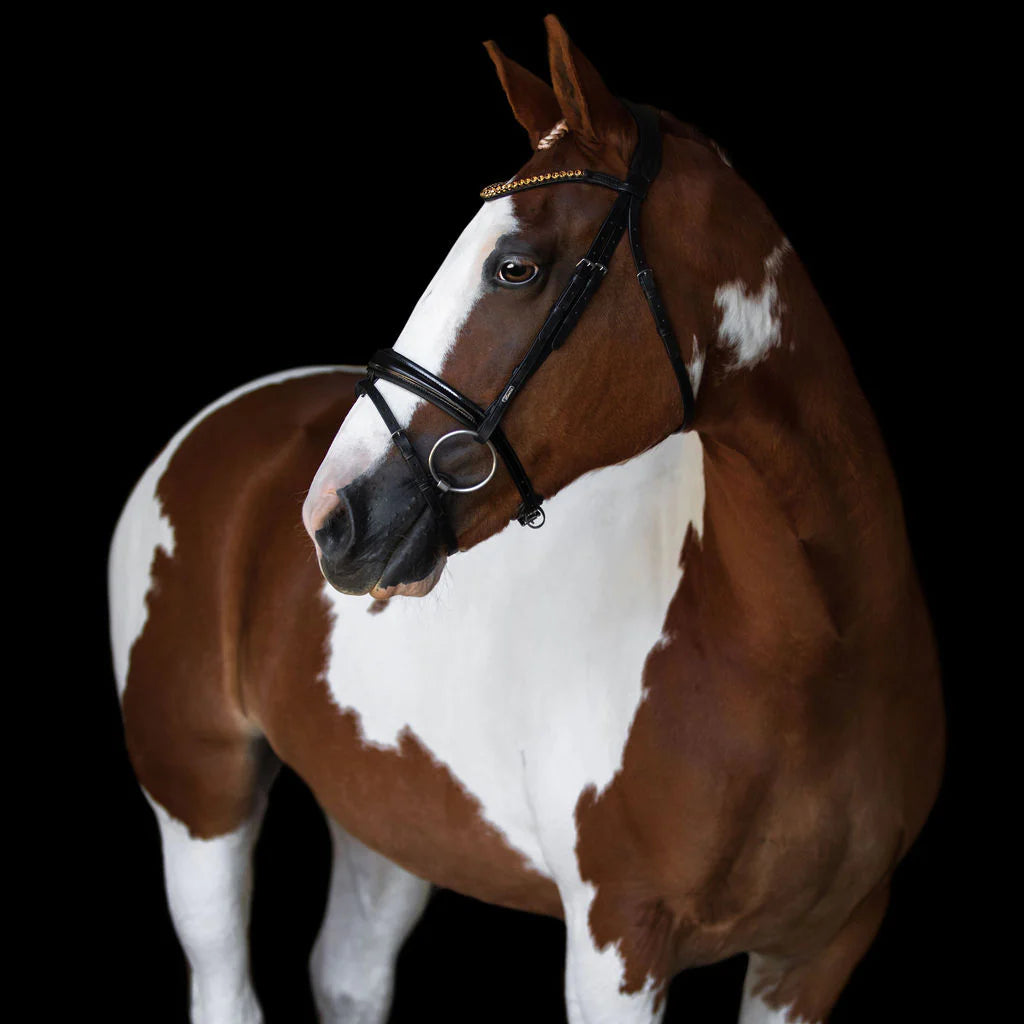 Margaux Bridle by Lumiere. Black patent with gold crystals