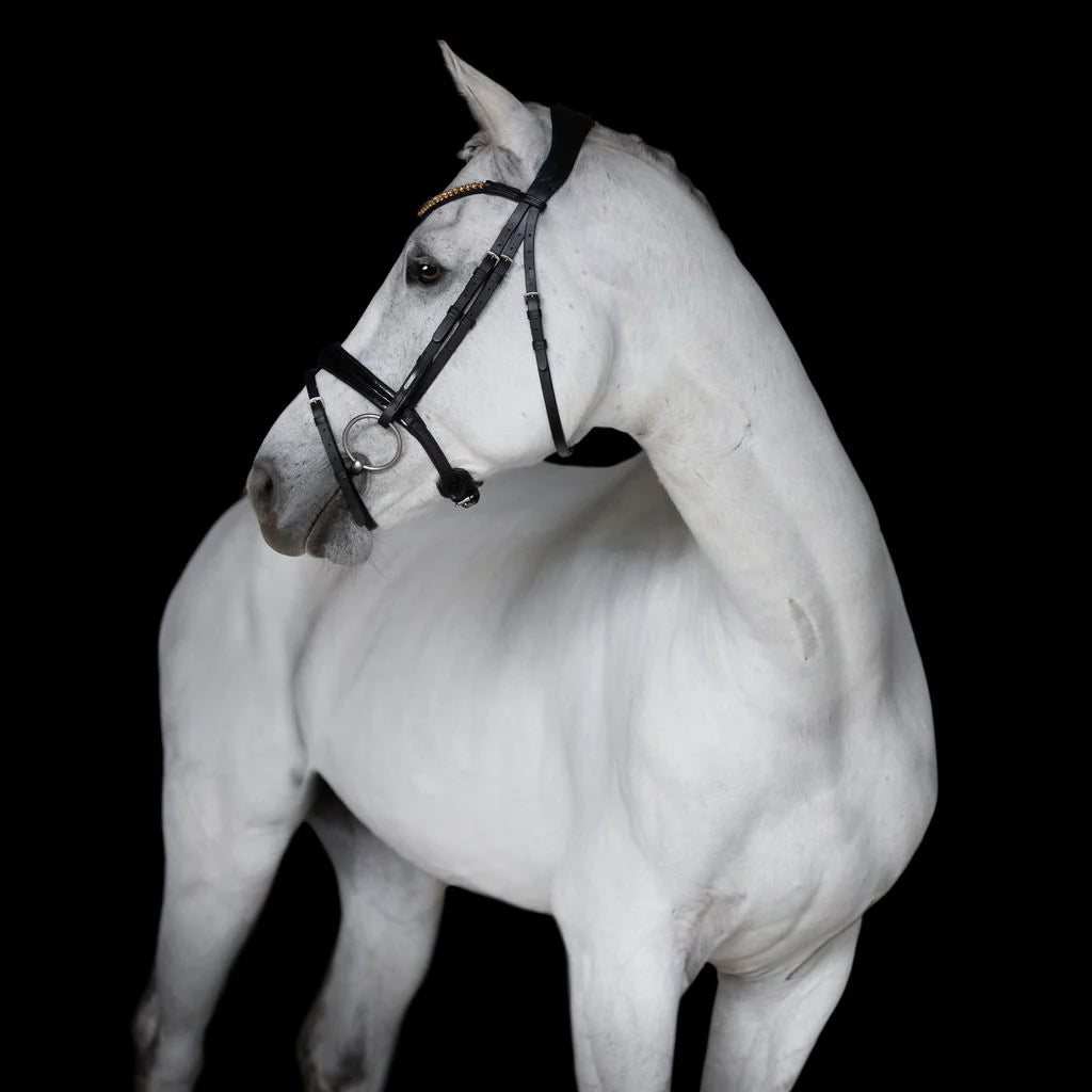 Margaux Bridle by Lumiere. Black patent with gold crystals