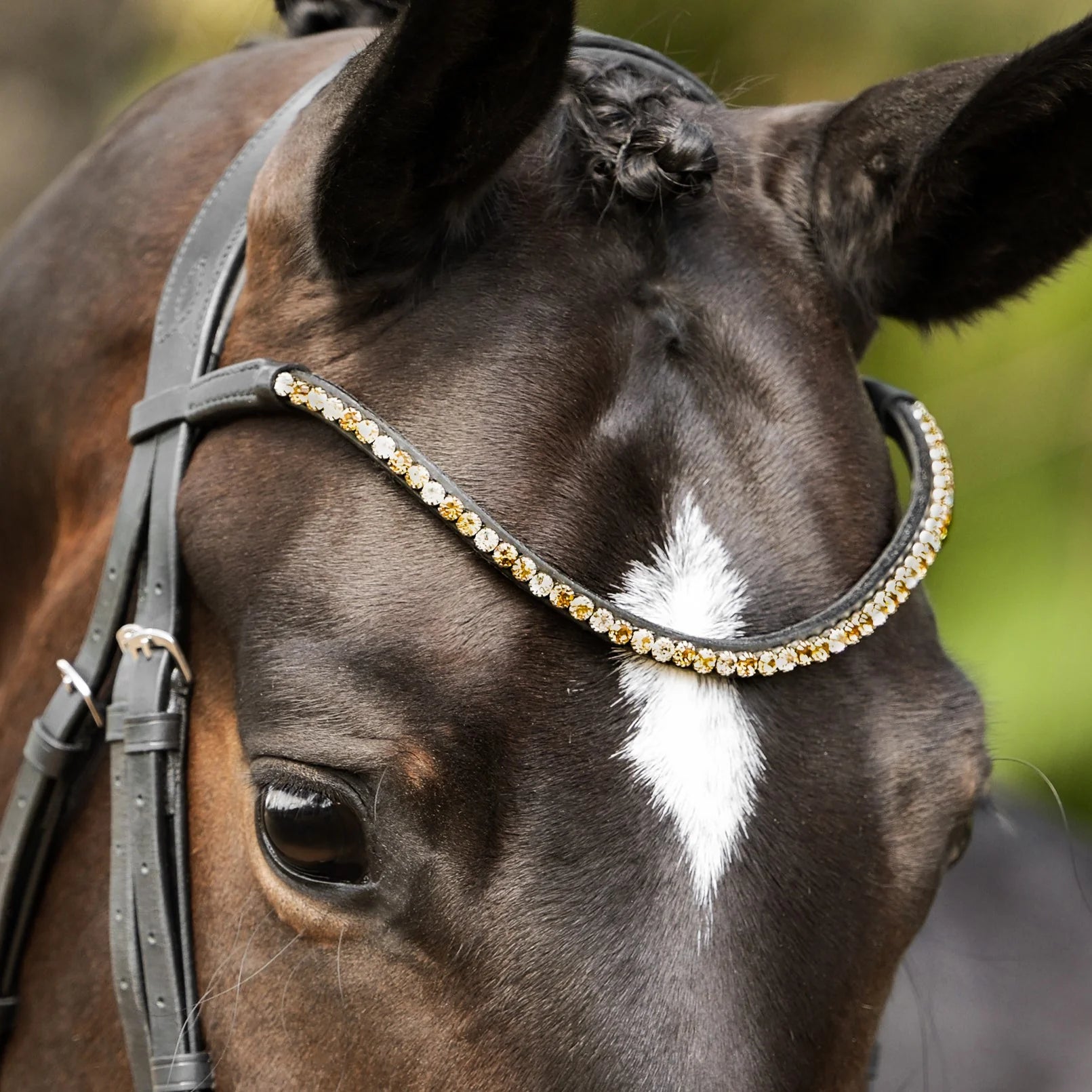 Cwell Equine Curvo * Team GB * Crystal BROWBAND Cwell Equine Curvo * Team GB * Crystal BROWBAND