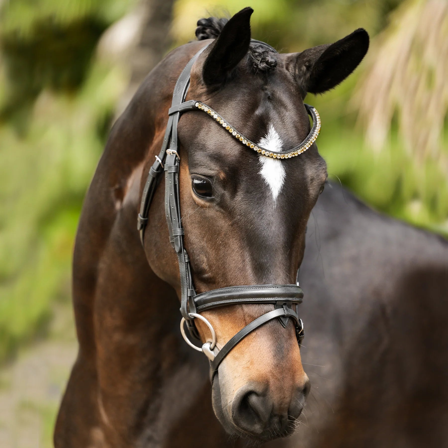 Megan Convertible Bridle by Lumiere