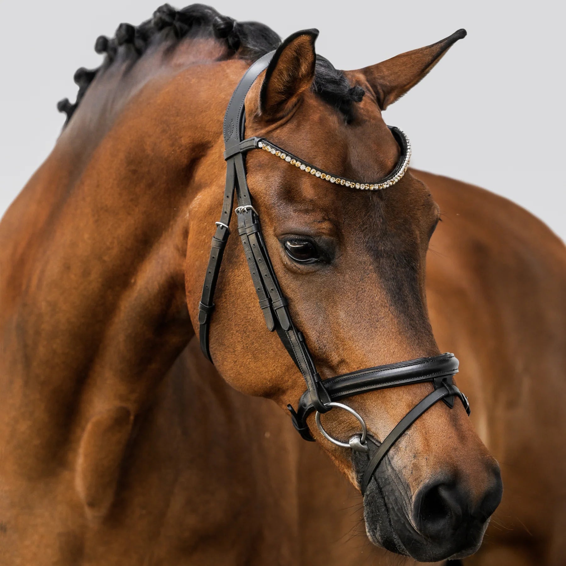 Megan Convertible Bridle by Lumiere