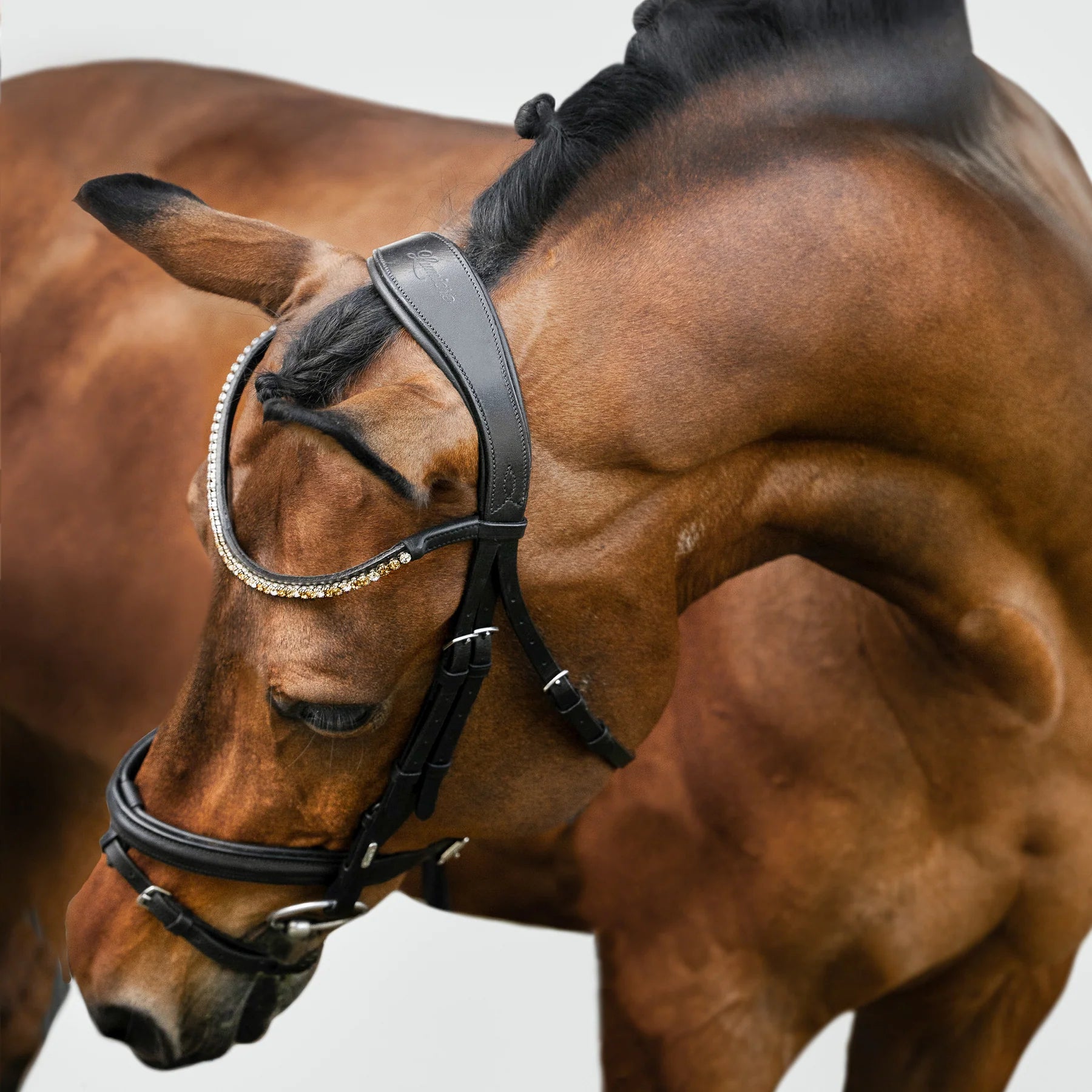 Megan Convertible Bridle by Lumiere