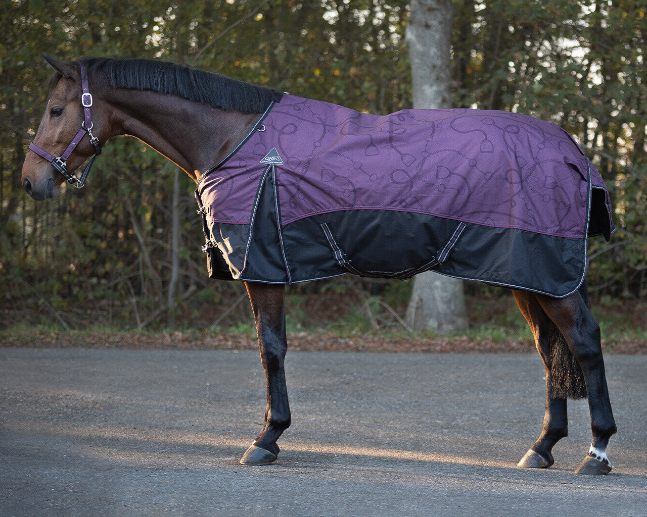 QHP Fleece Lined Turnout Rug 165cm/65in