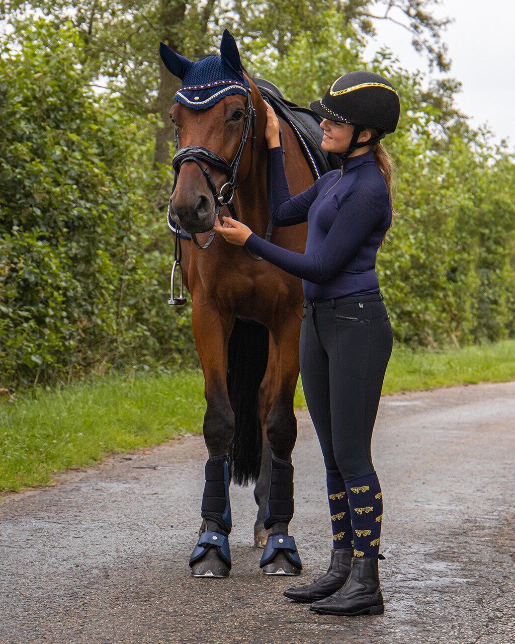 QHP Bridle Orlando Black/Navy