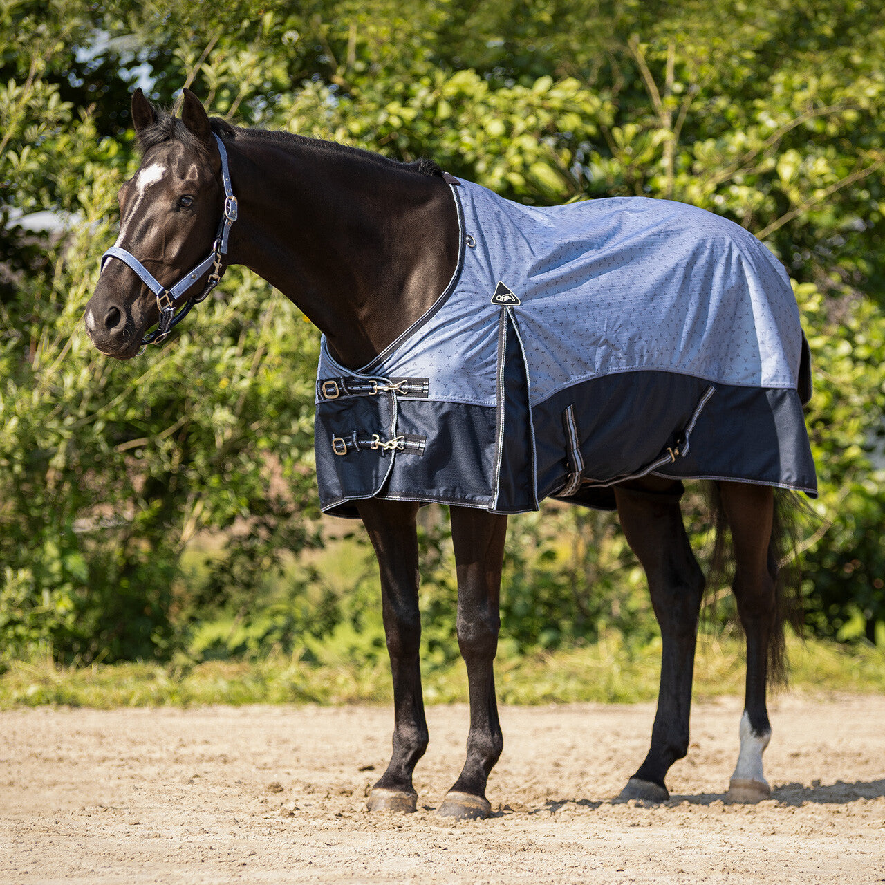 Fleece Lined turnout Rug by QHP