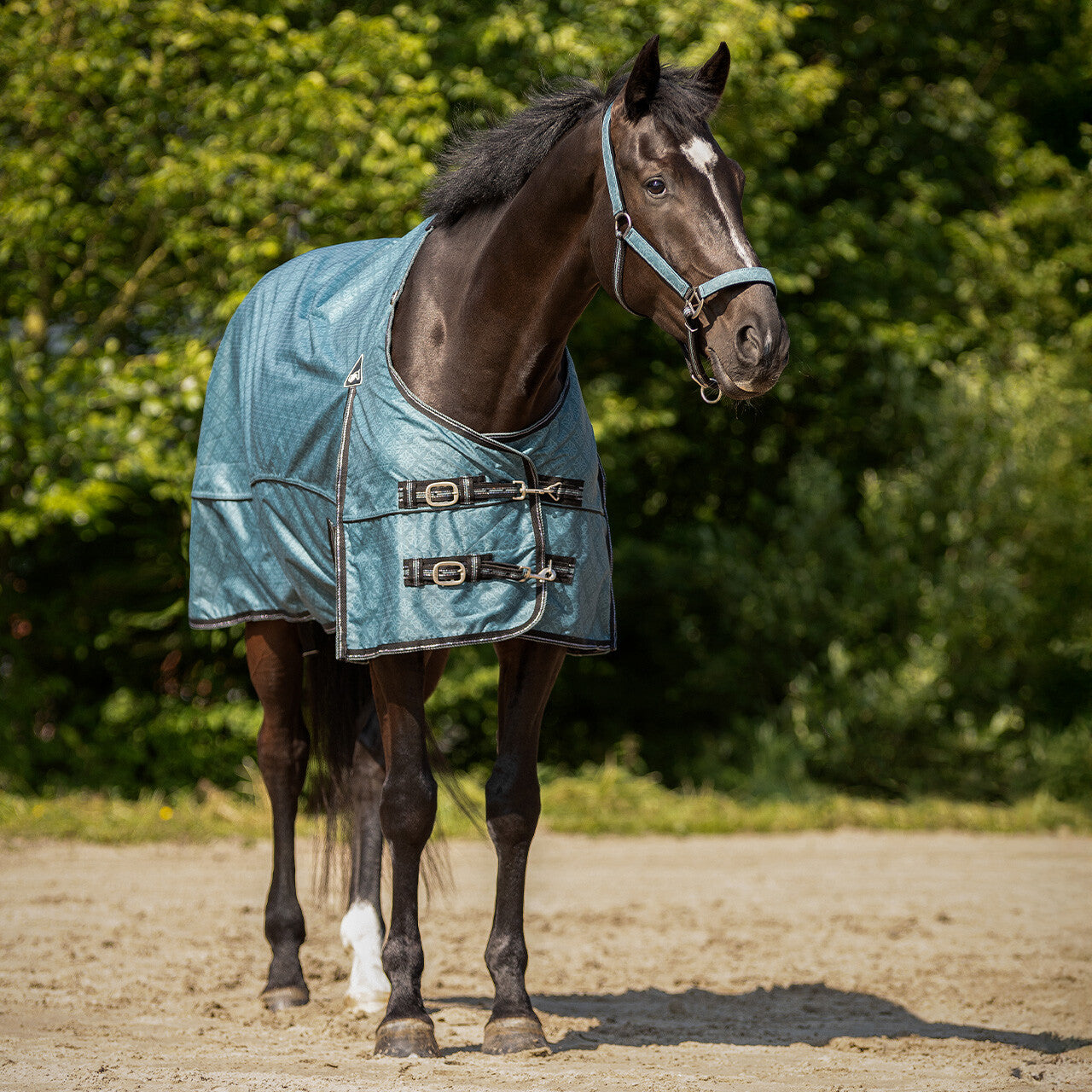 Fleece Lined turnout Rug by QHP