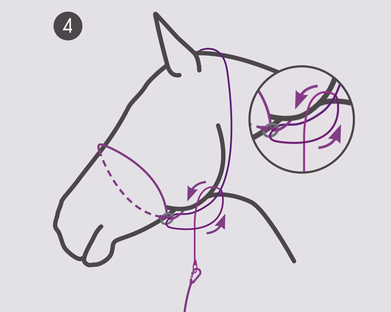 Photography Halter by QHP