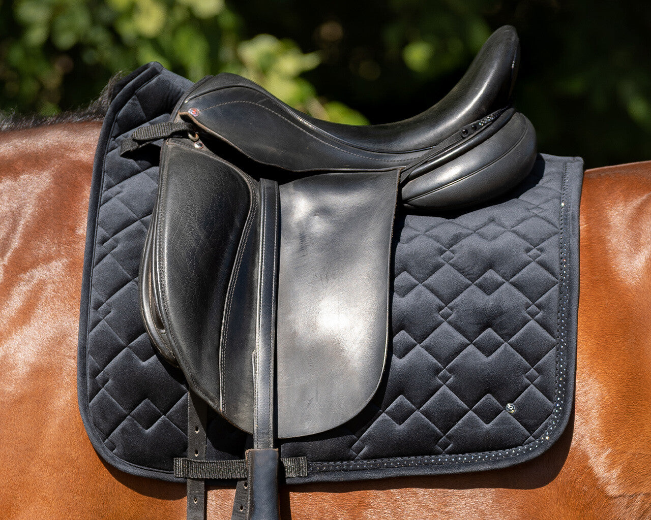 Saddle Pad Fading by QHP