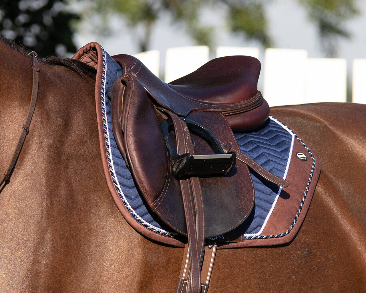 QHP All-Purpose Shiva Pony Saddle Pad Brown/navy