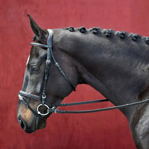 Silver Spur Raised and Padded Snaffle Bridle with flash cob size