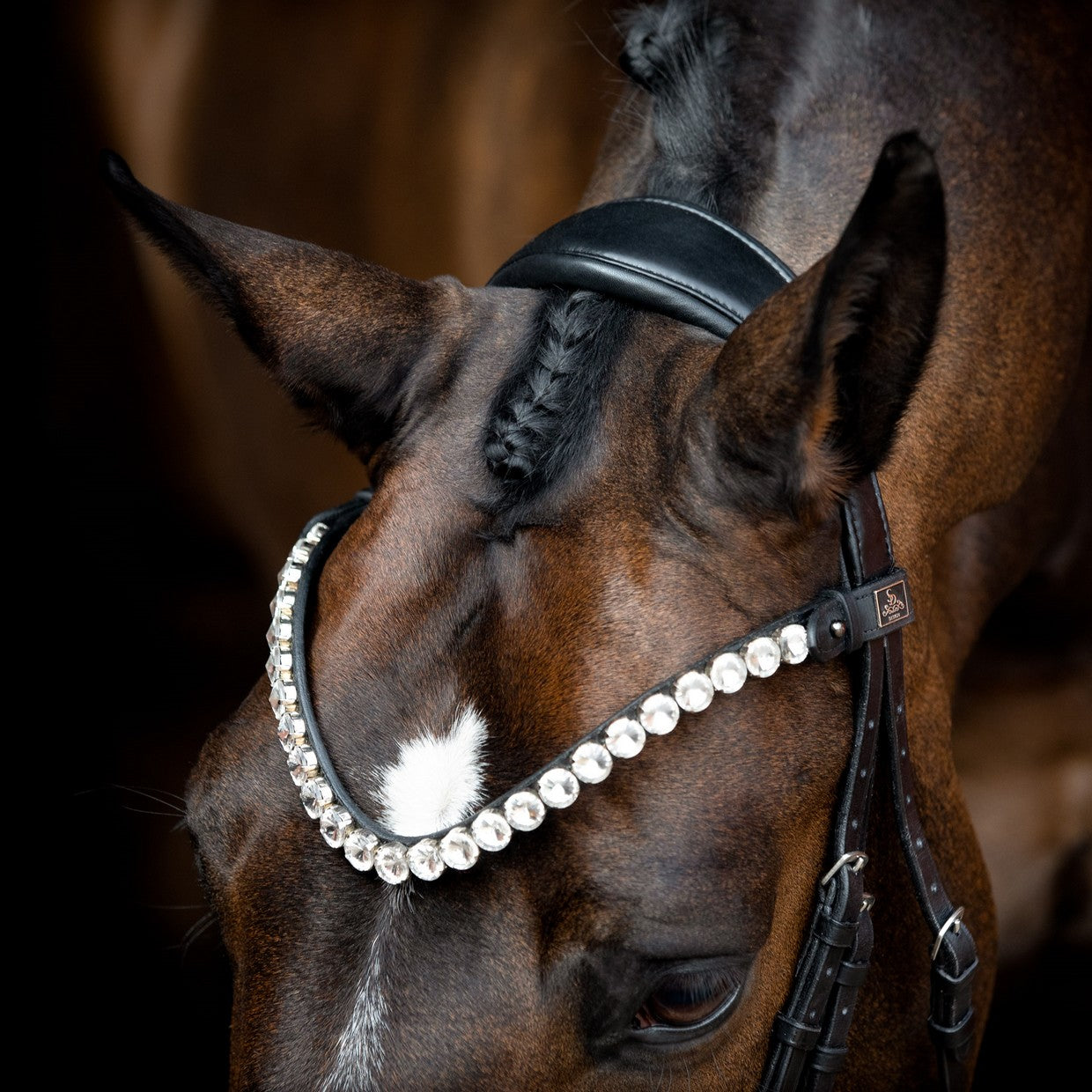 Shires Aviemore Intrecciato Browband - Nero Cob Shires Aviemore Intrecciato Browband - Nero Cob