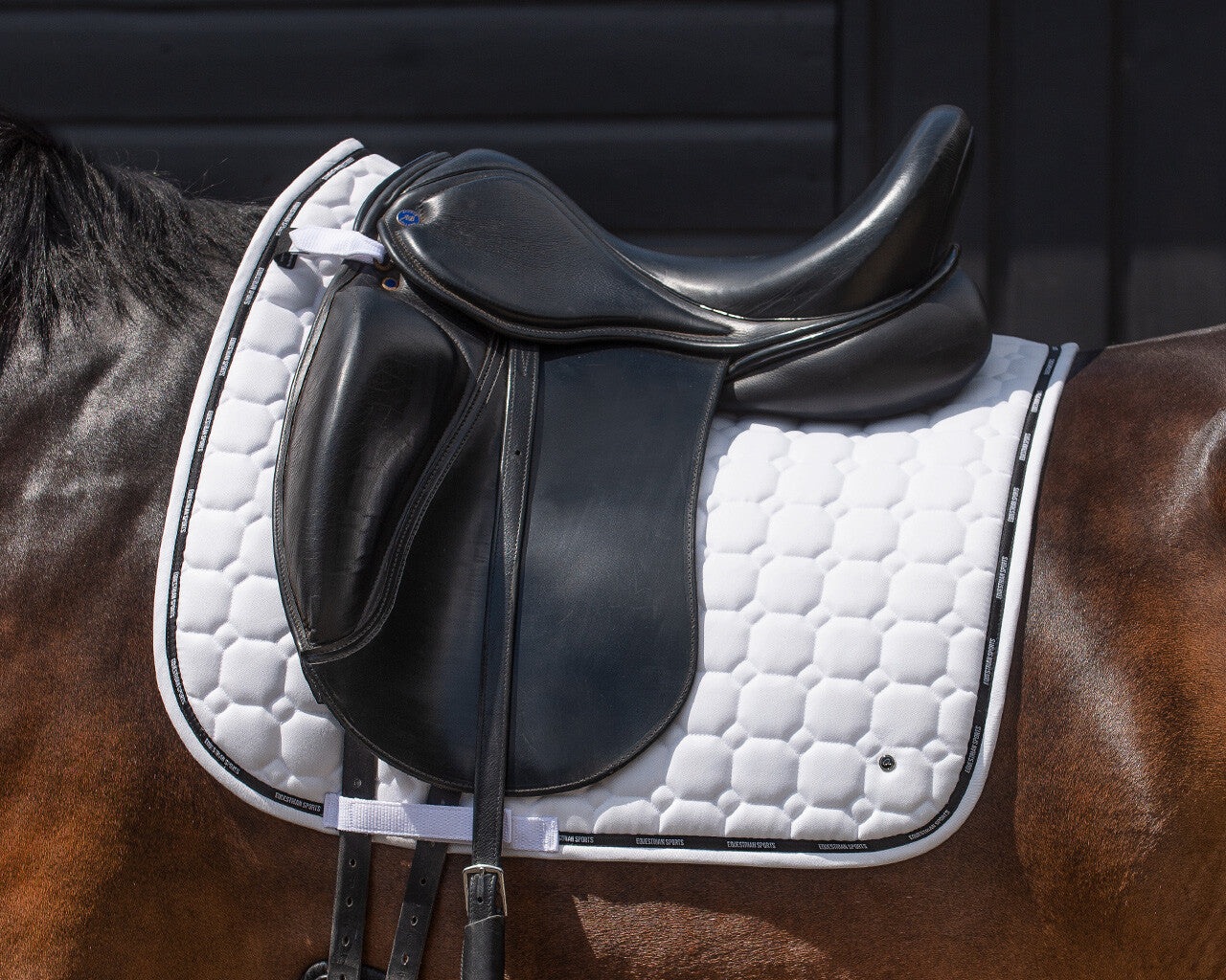 Saddle Pad Denver by QHP