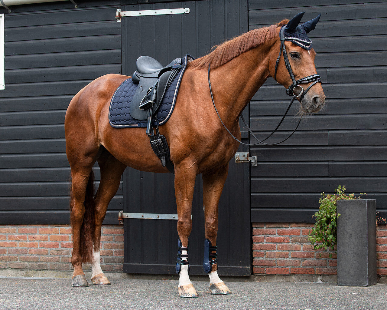 Saddle Pad Denver by QHP