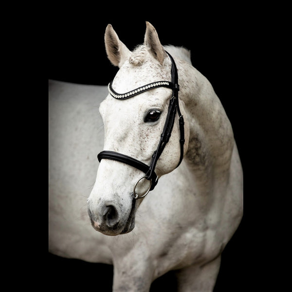 SD Noseband with Removable Flash