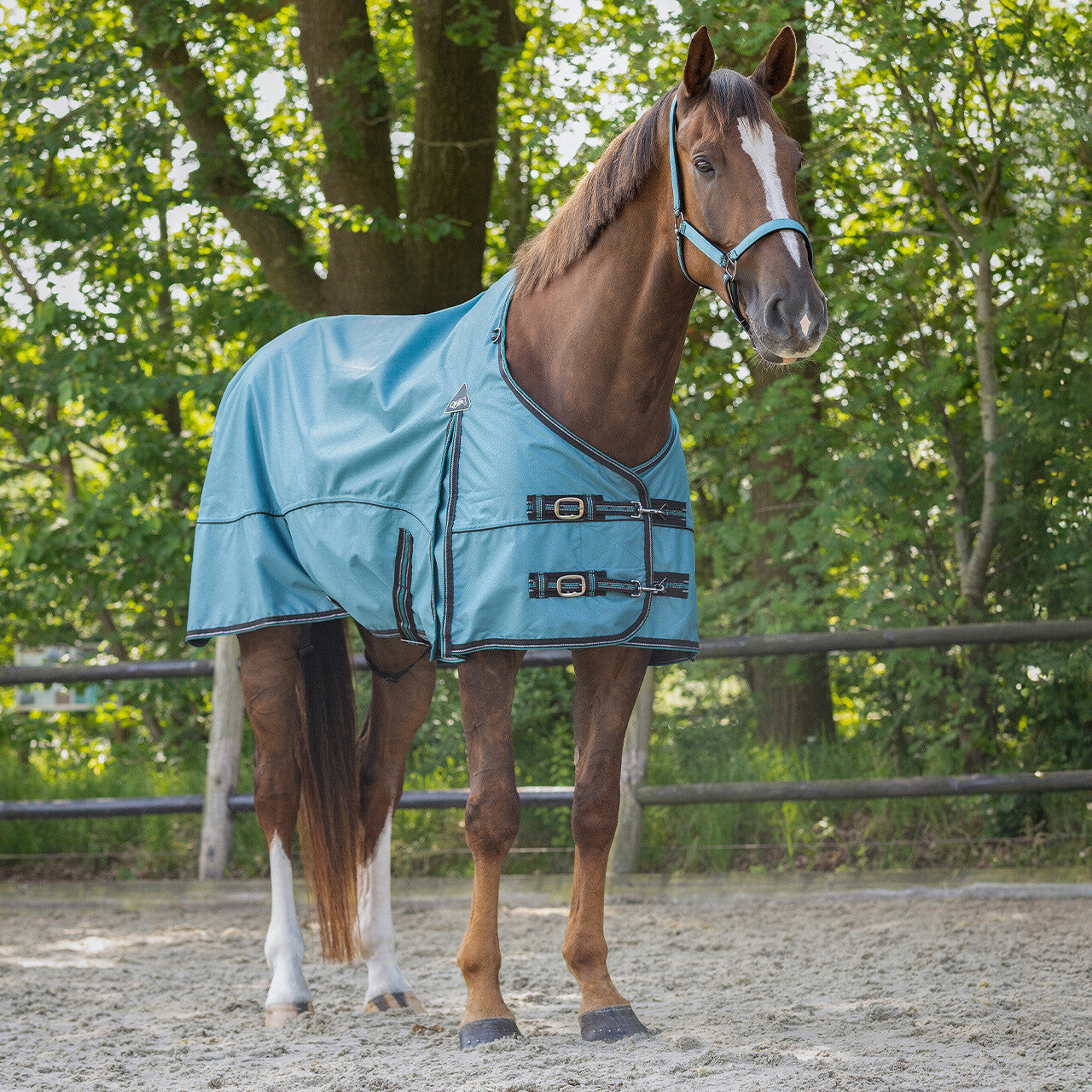 Pony size turnout rug with no filling by QHP