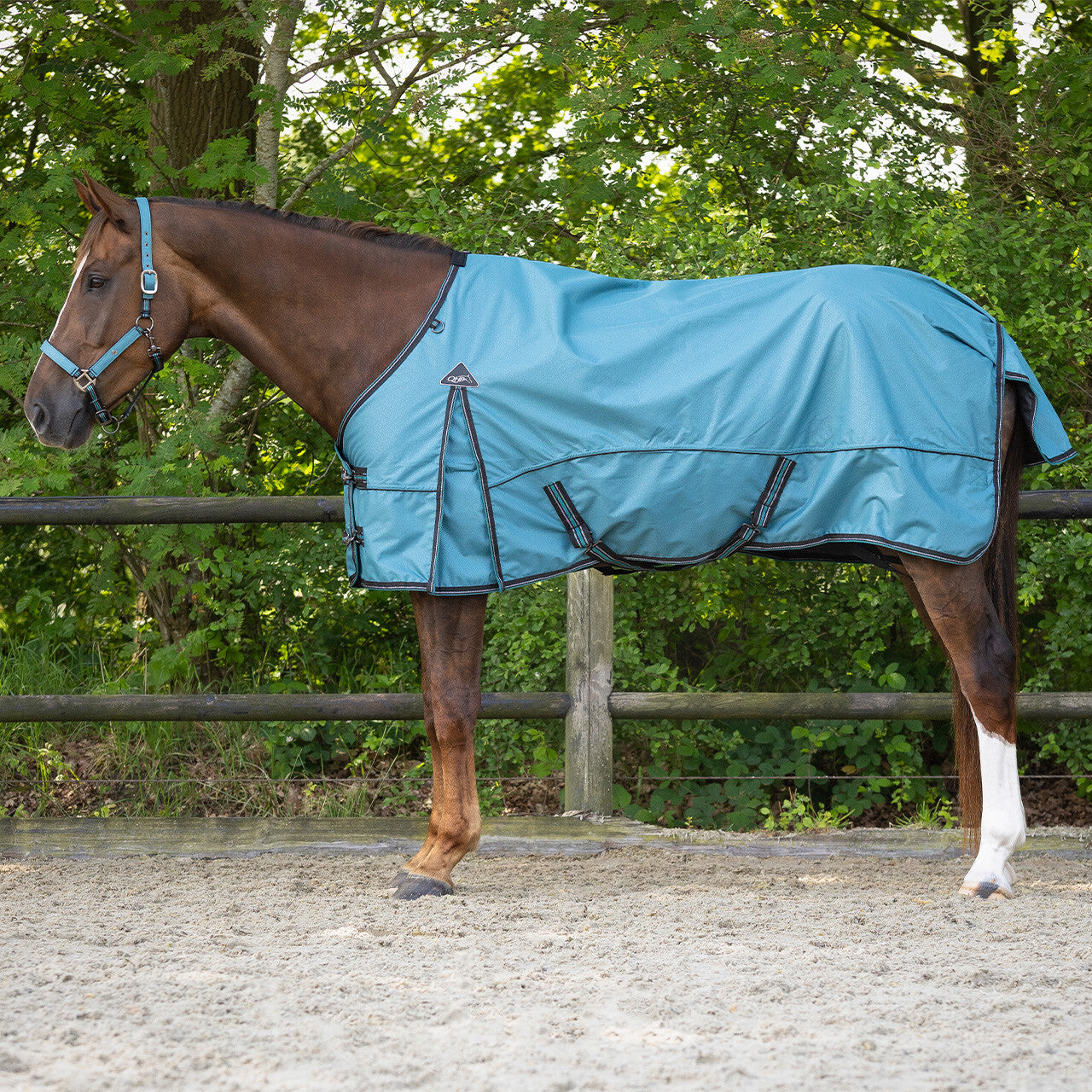 Pony size turnout rug with no filling by QHP