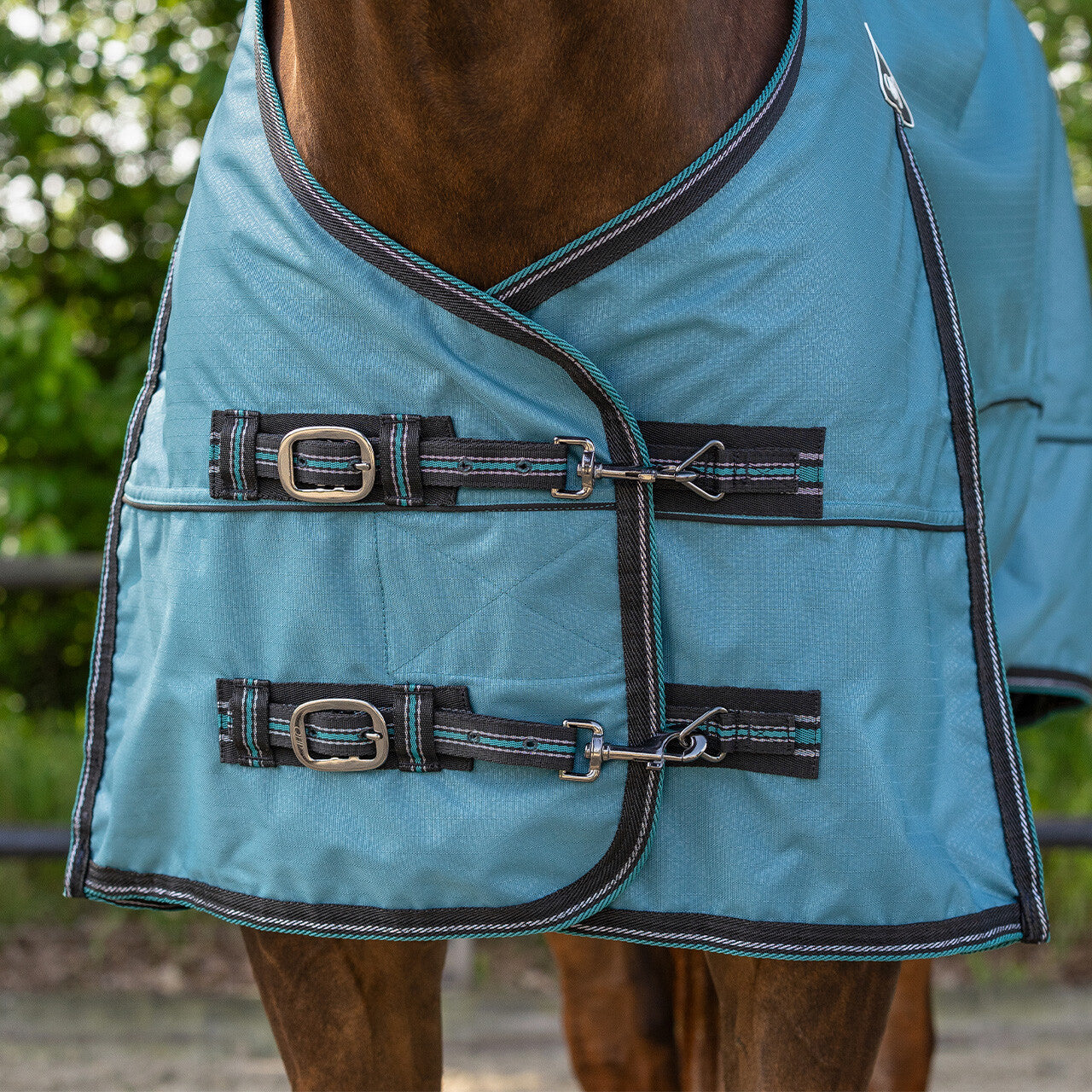 QHP Pony Turnout Rug-no filling