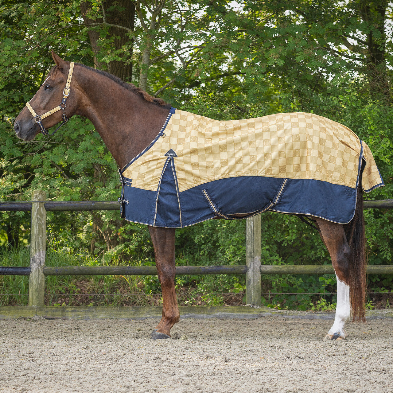 Turnout Rug no filling by QHP 165 and 175cm