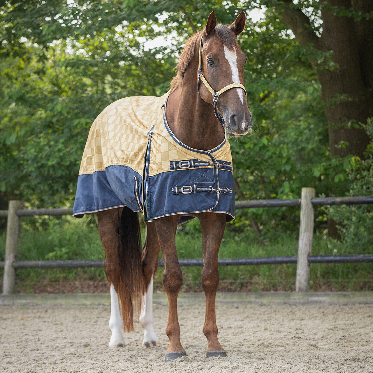 Turnout Rug no filling by QHP 165 and 175cm
