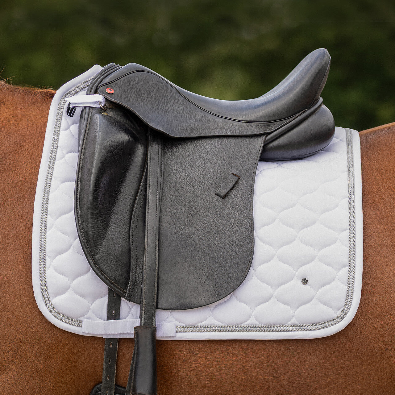 QHP Pony Dressage Saddle Pad Sparkle