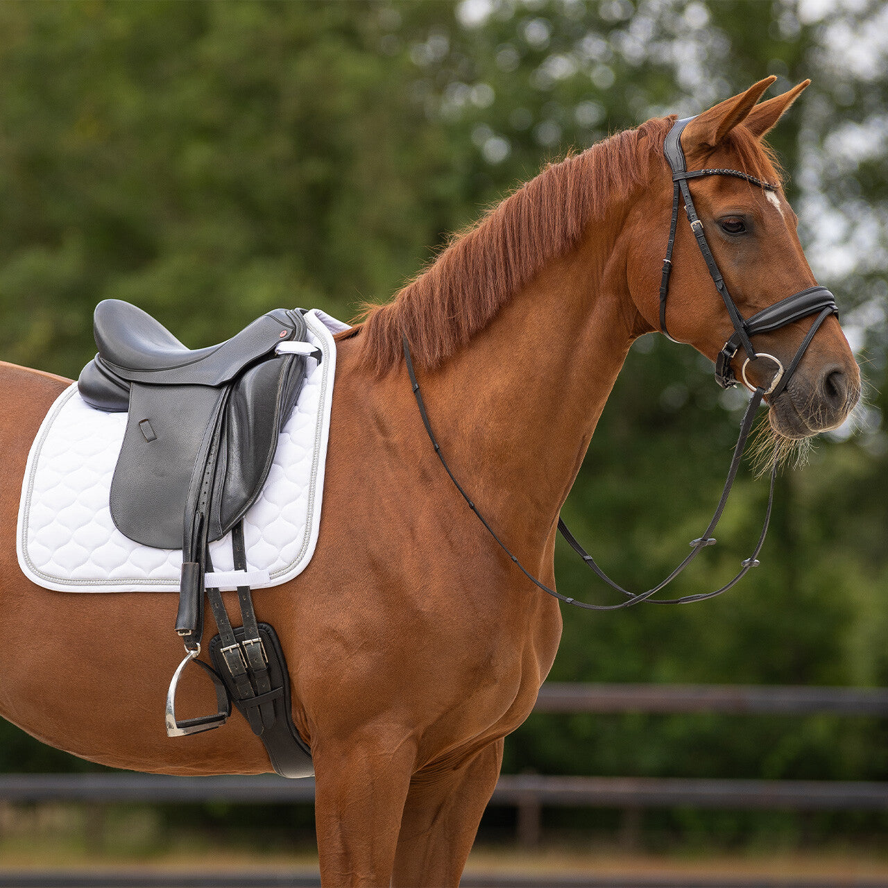 QHP Pony Dressage Saddle Pad Sparkle