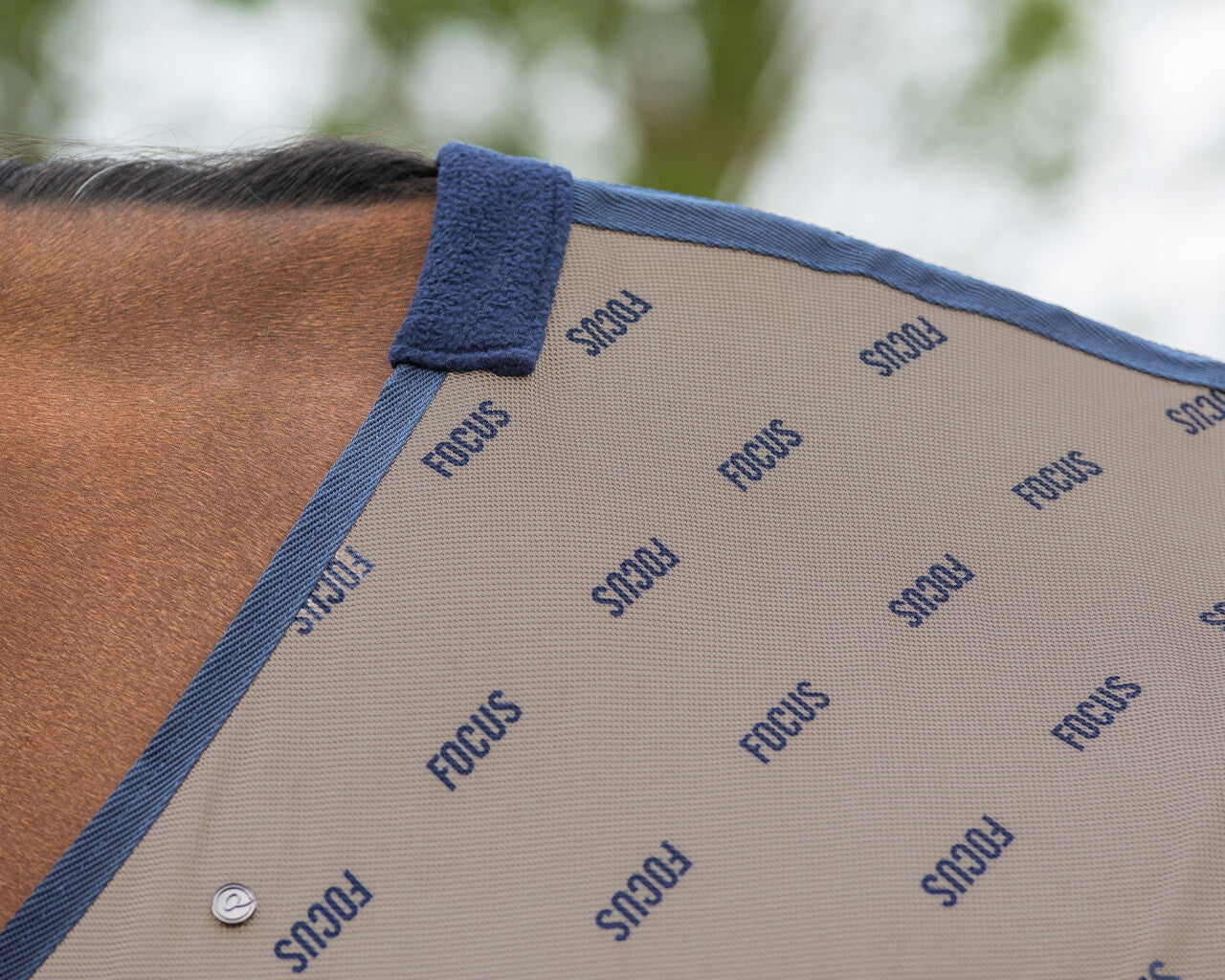 Summer Focus Fly Sheet by QHP