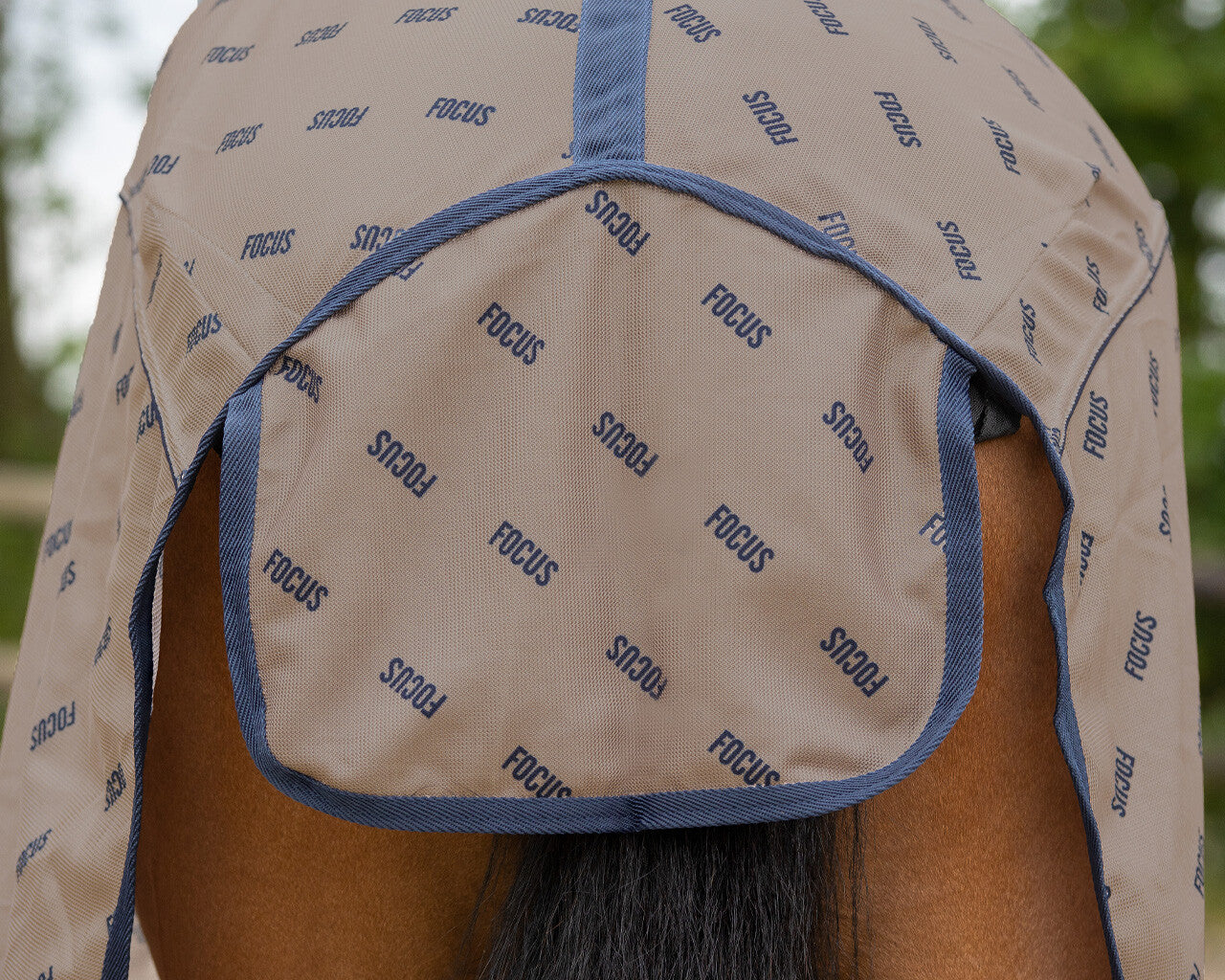 Summer Focus Fly Sheet by QHP