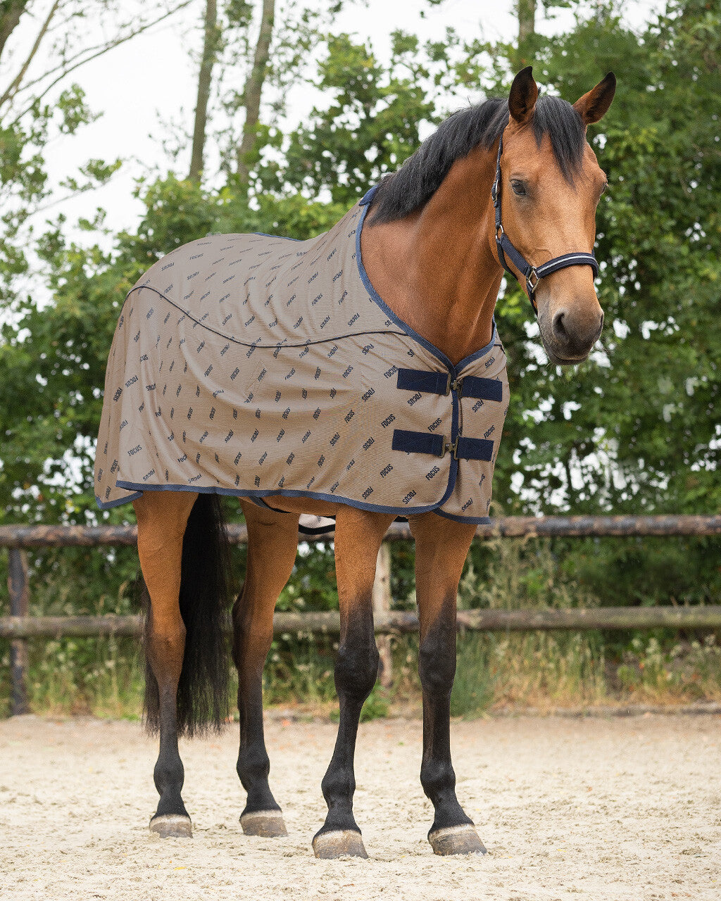 Summer Focus Fly Sheet by QHP