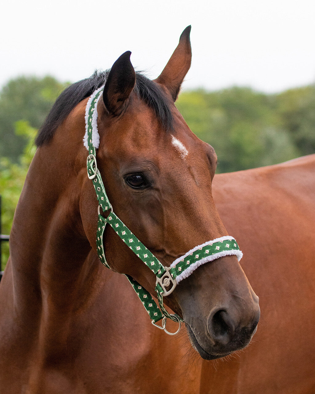 QHP Christmas Elf Head Collar