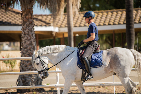 Havana Saddle Pad Full Size QHP