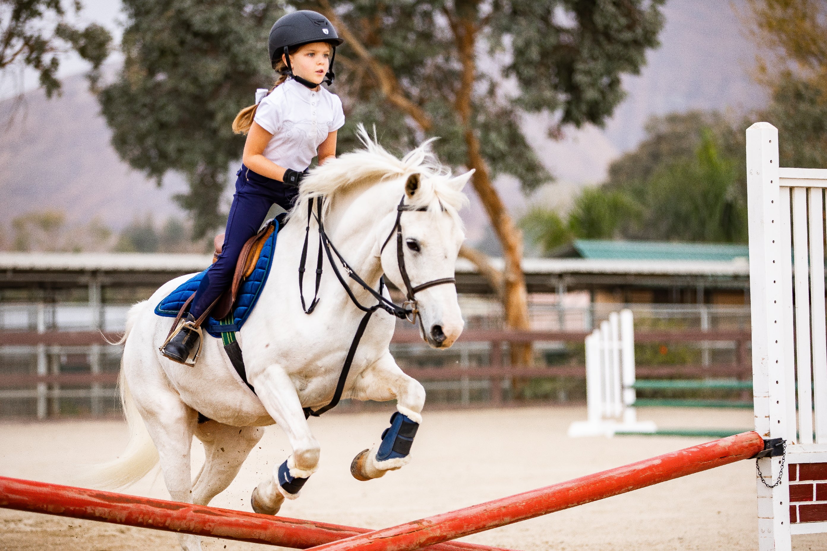 HKM Market Harborough