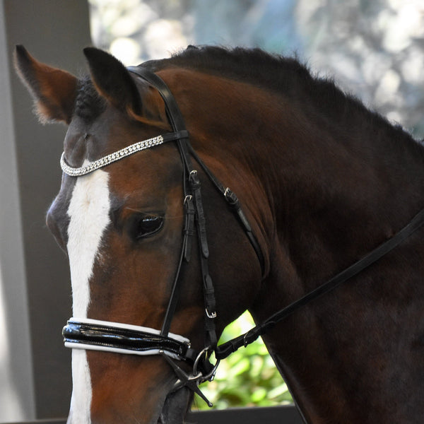 Adeline Bridle without flash by Lumiere cob size