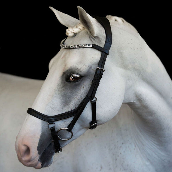 Azure Bridle (Euro Version) cob and pony size