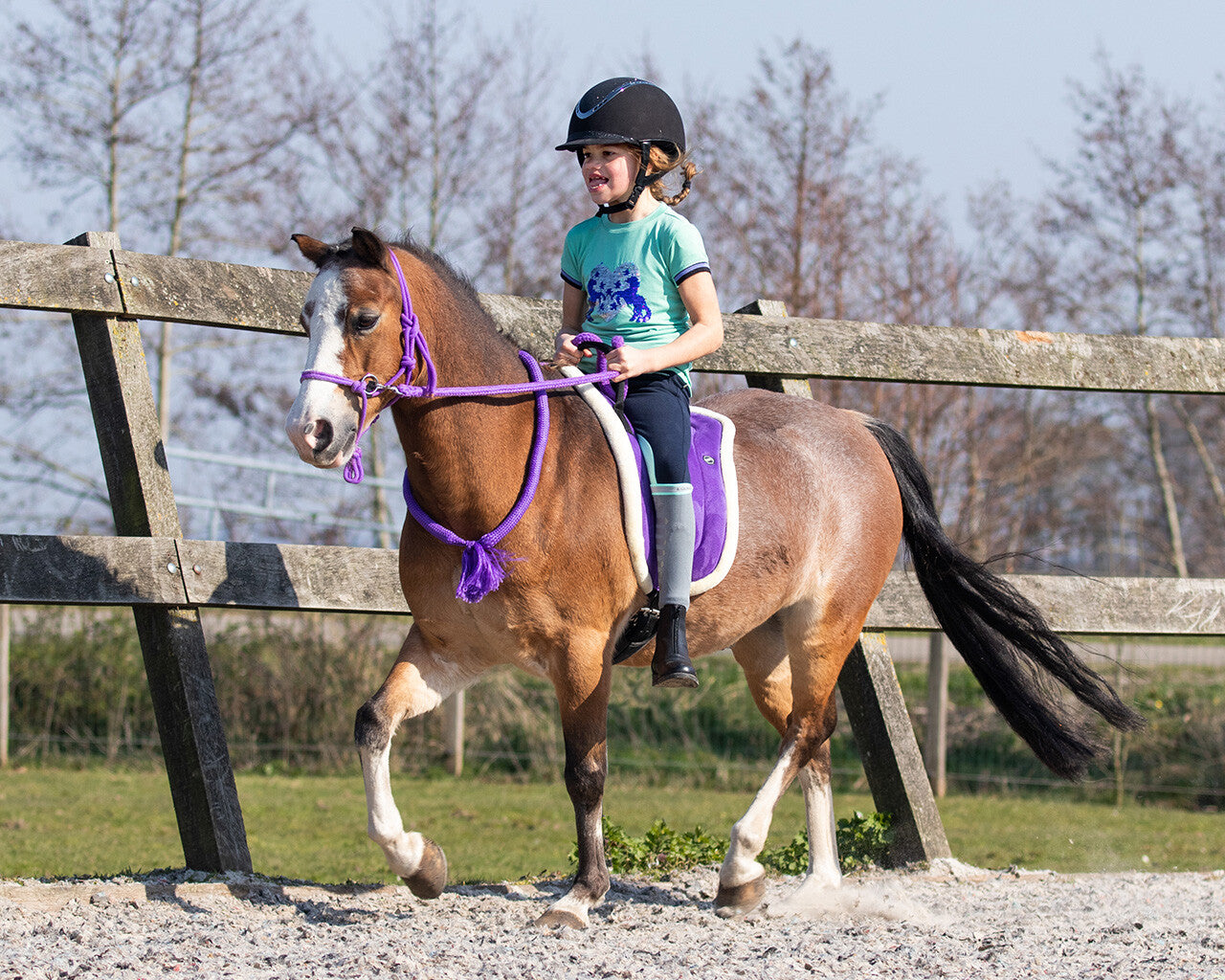 QHP Bareback Pad