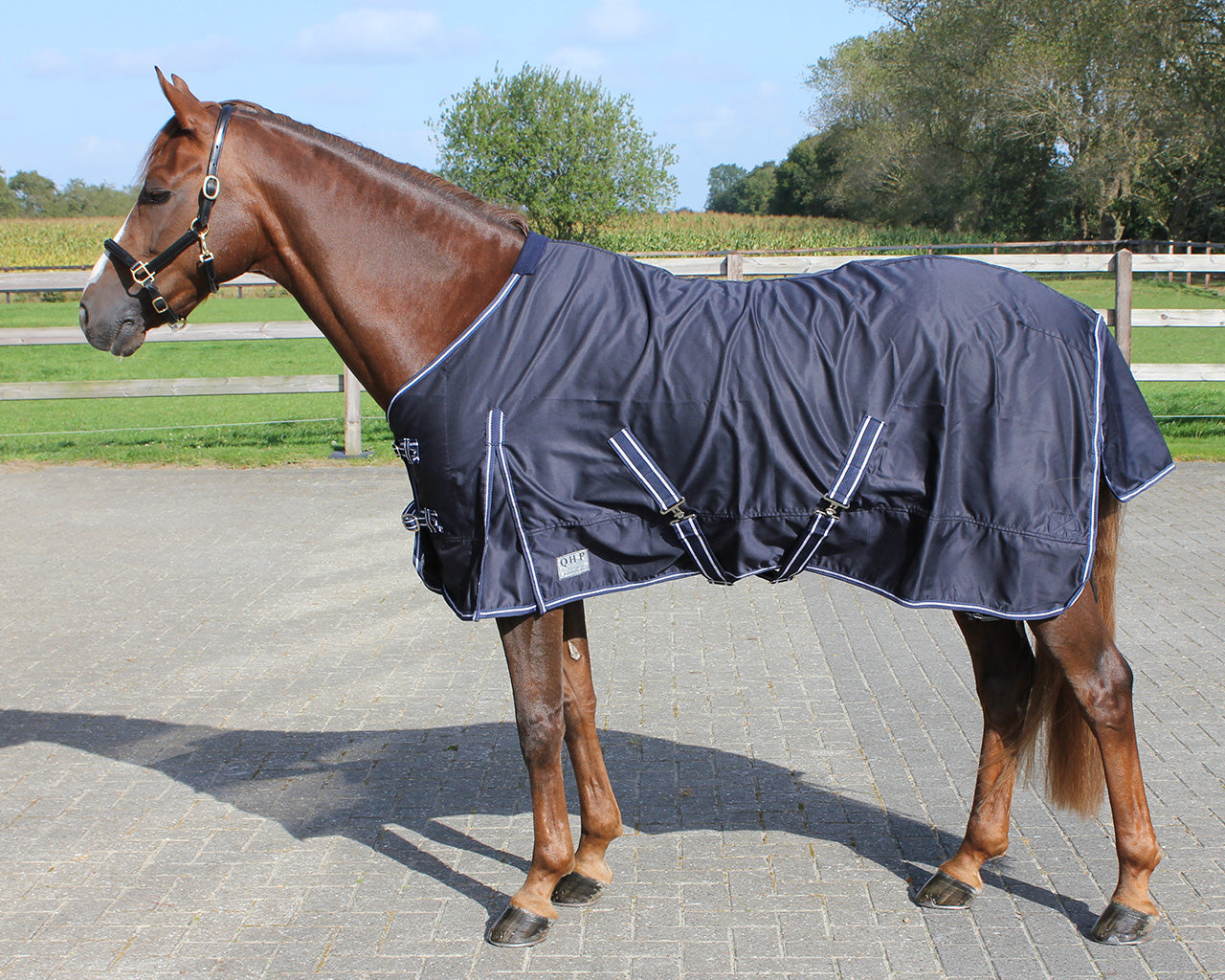 QHP Basic Summer Rug