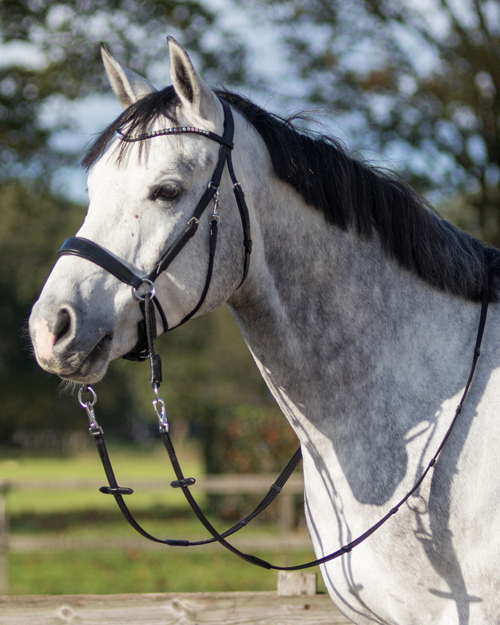 Bitless Bridle Sunna by QHP