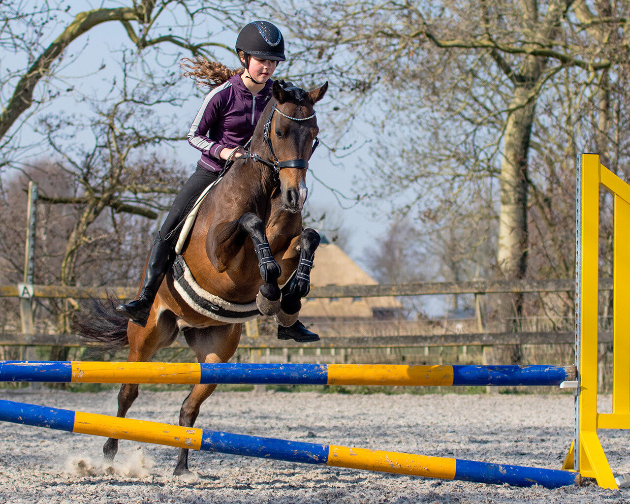 Bitless Bridle Sunna by QHP